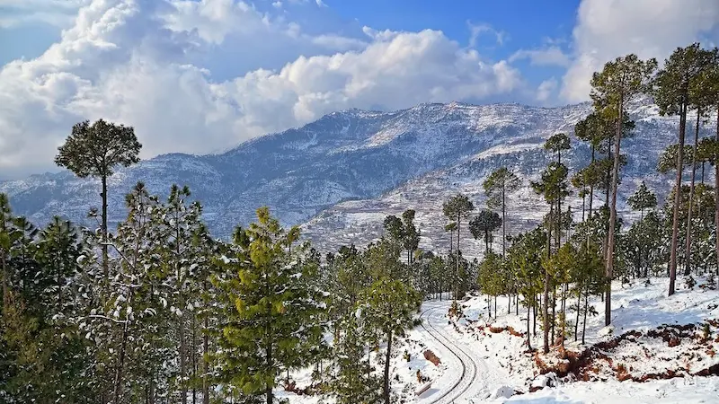 murree tour guide