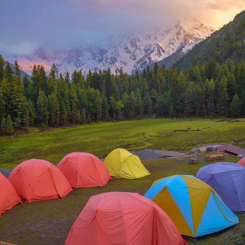 Fairy Meadows At Night